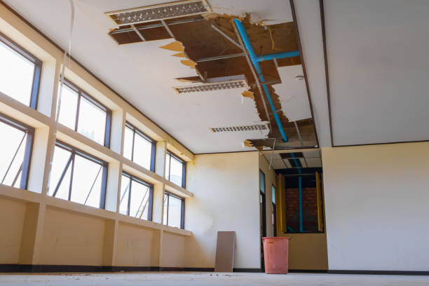 Best 24-hour water damage restoration  in Sheridan, IN