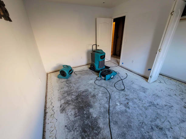 Best Water damage restoration process  in Sheridan, IN