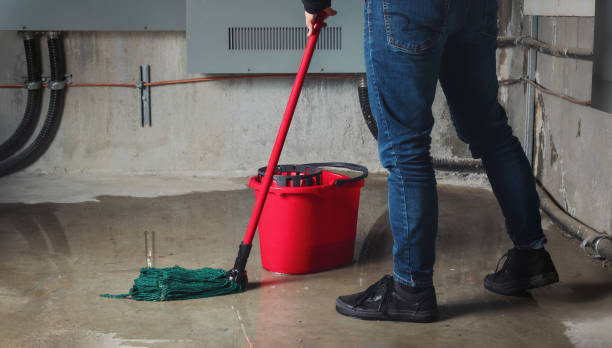 Best Water damage contractors near me  in Sheridan, IN