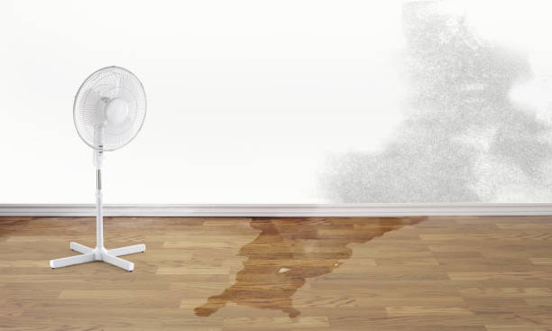 Best Flood restoration services  in Sheridan, IN