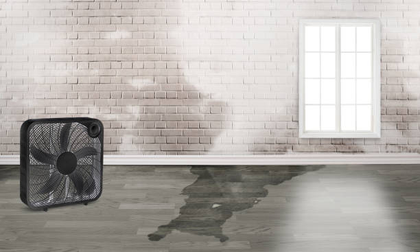 Local water damage restoration in Sheridan, IN