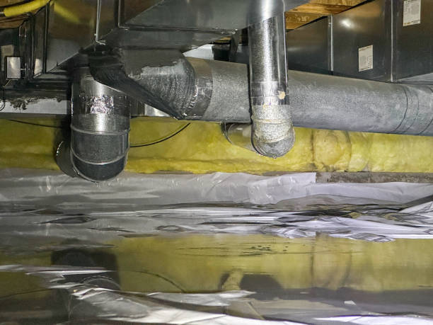 Best Flooded house restoration  in Sheridan, IN
