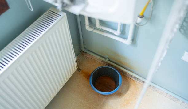 Best Residential water damage restoration  in Sheridan, IN