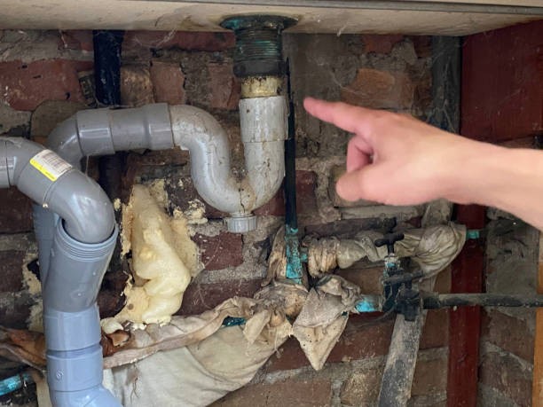 Best Mold removal after water damage  in Sheridan, IN